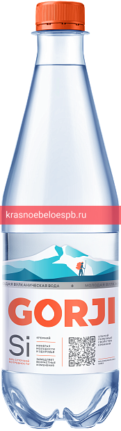 Вода минеральная природная газированная Gorji 1 л