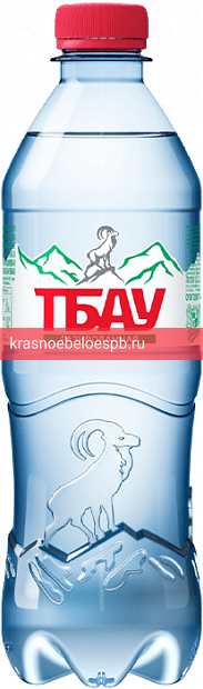 МИНЕРАЛЬНАЯ ПИТЬЕВАЯ СТОЛОВАЯ ВОДА "ТБАУ" газ ПЭТ 0,5л 0.5 л